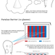 Illustration for article titled How 3D Actually Works